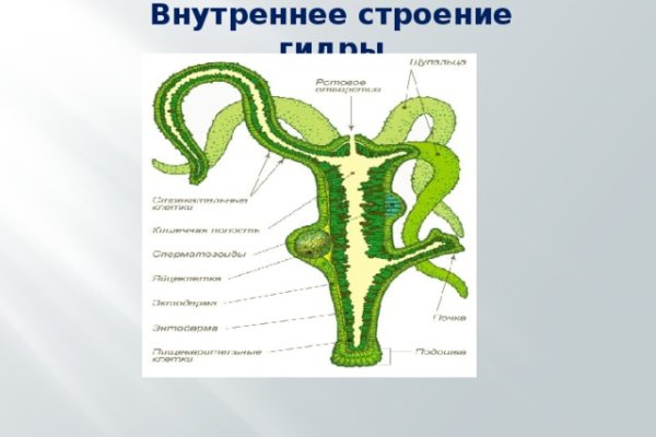 Не работает сайт blacksprut online blacksprut top